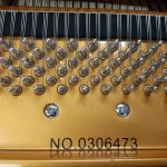 新品グランドピアノ Gebr.Perzina GBT152BB-B3-Z