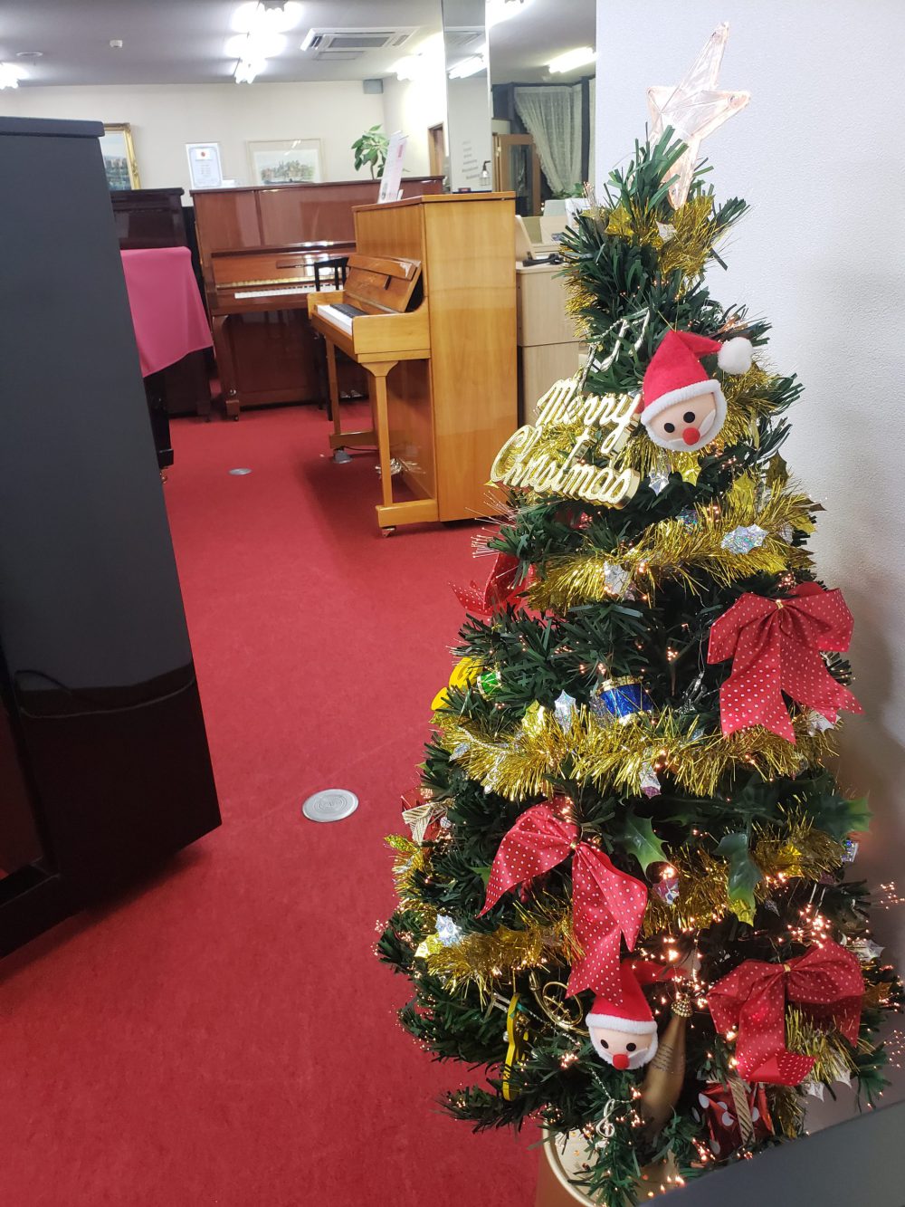 いよいよクリスマスですね🌟
