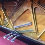   YAMAHA U1M