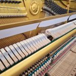   YAMAHA U1M