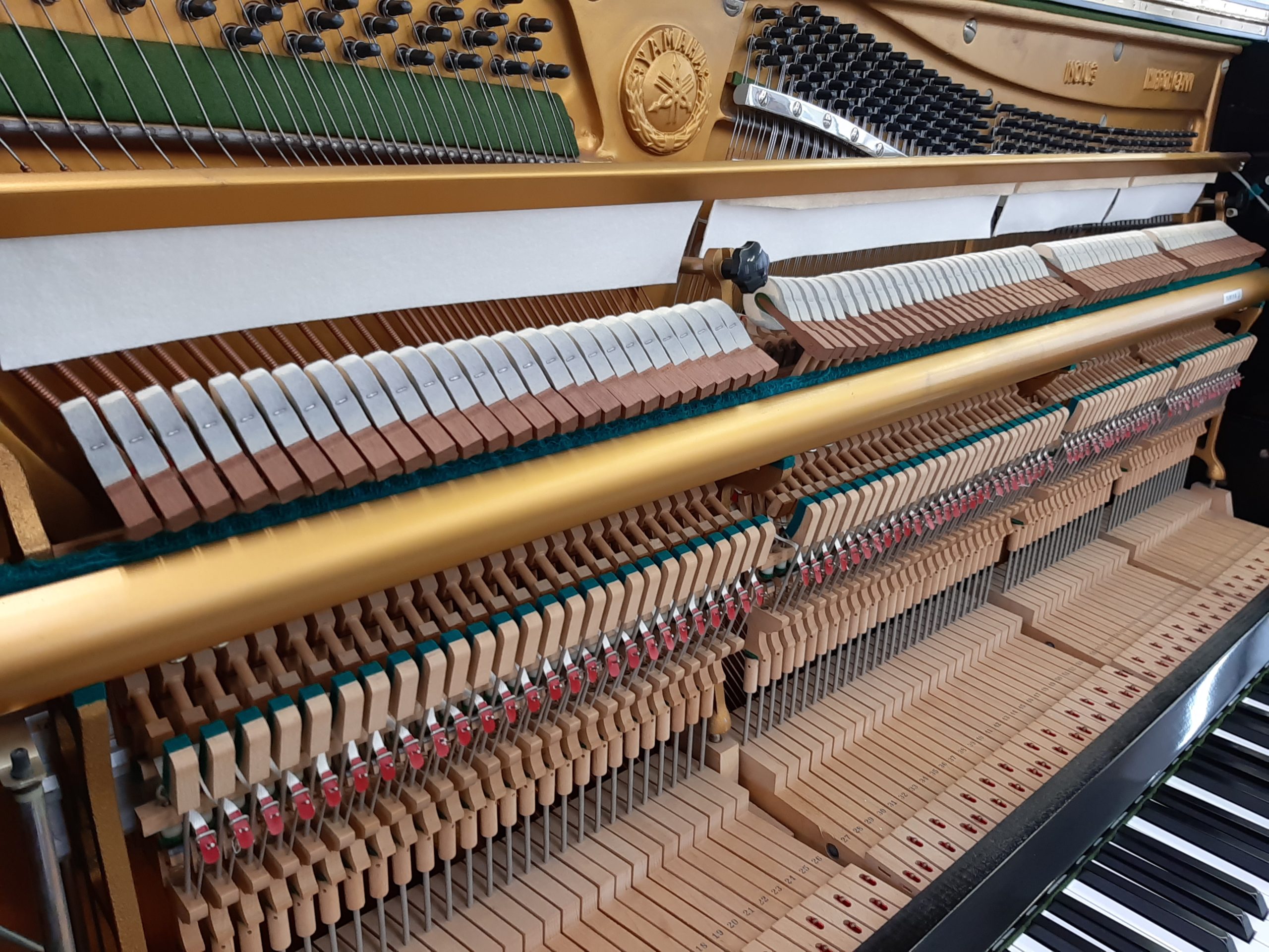   YAMAHA NO.U3