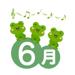 雨の季節です！！
