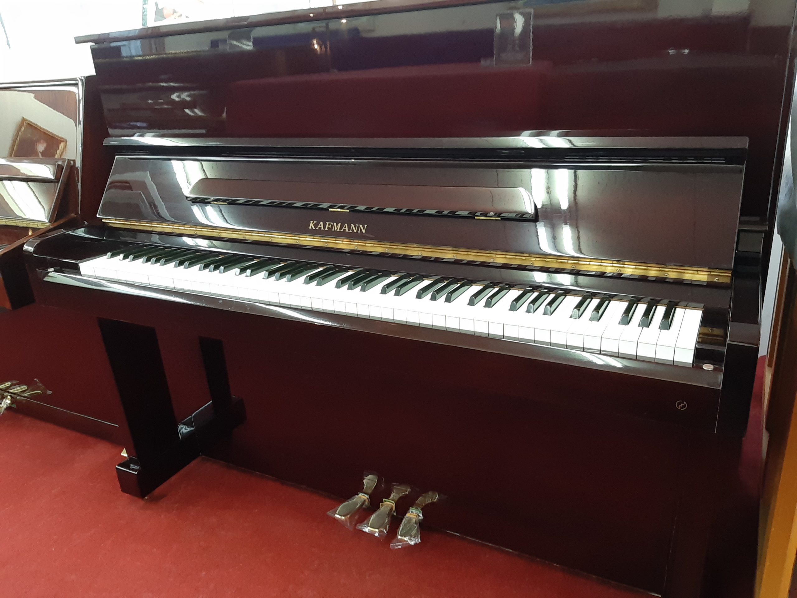   KAFMANN K-121