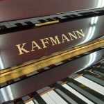   KAFMANN K-121
