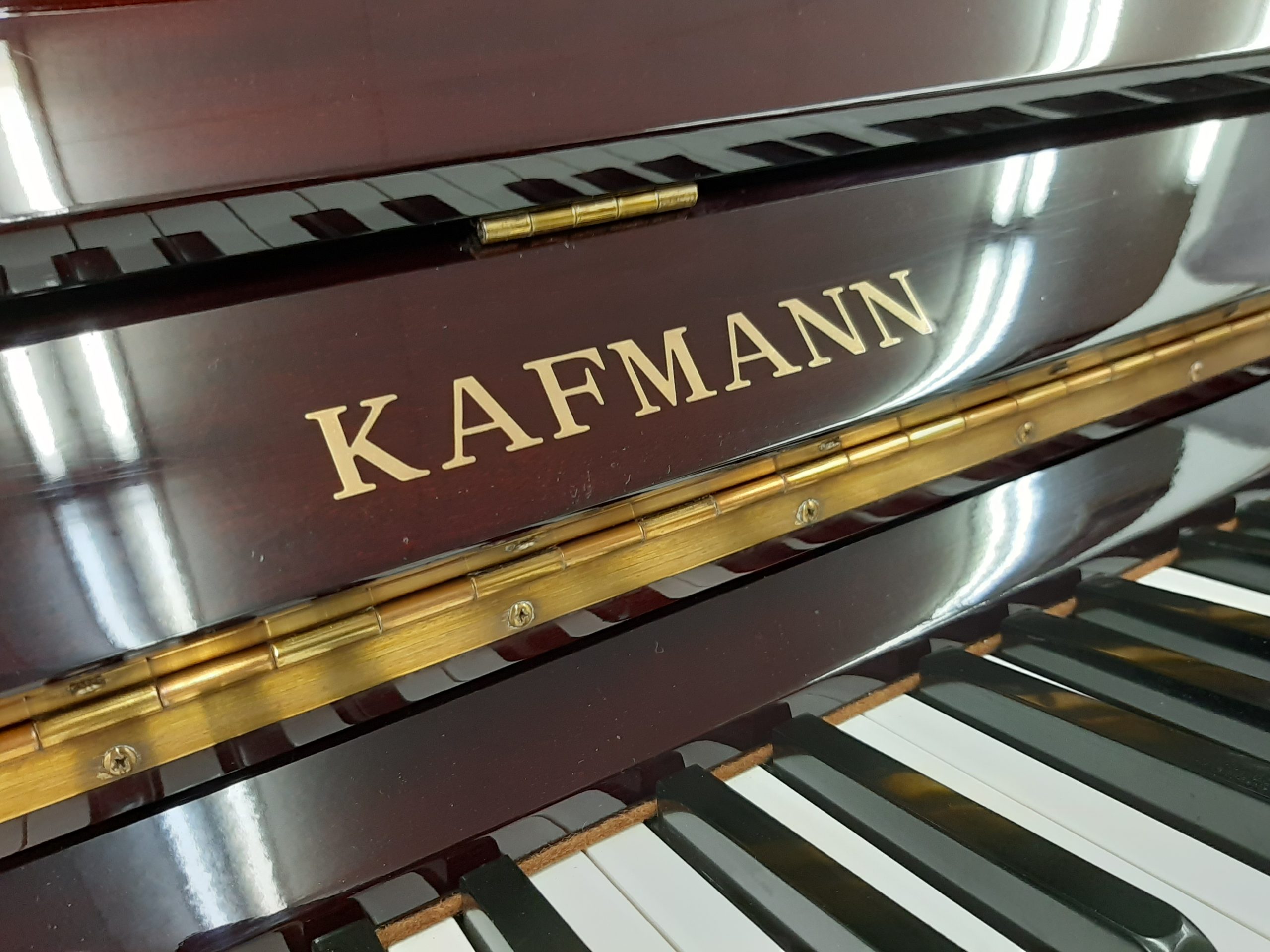   KAFMANN K-121