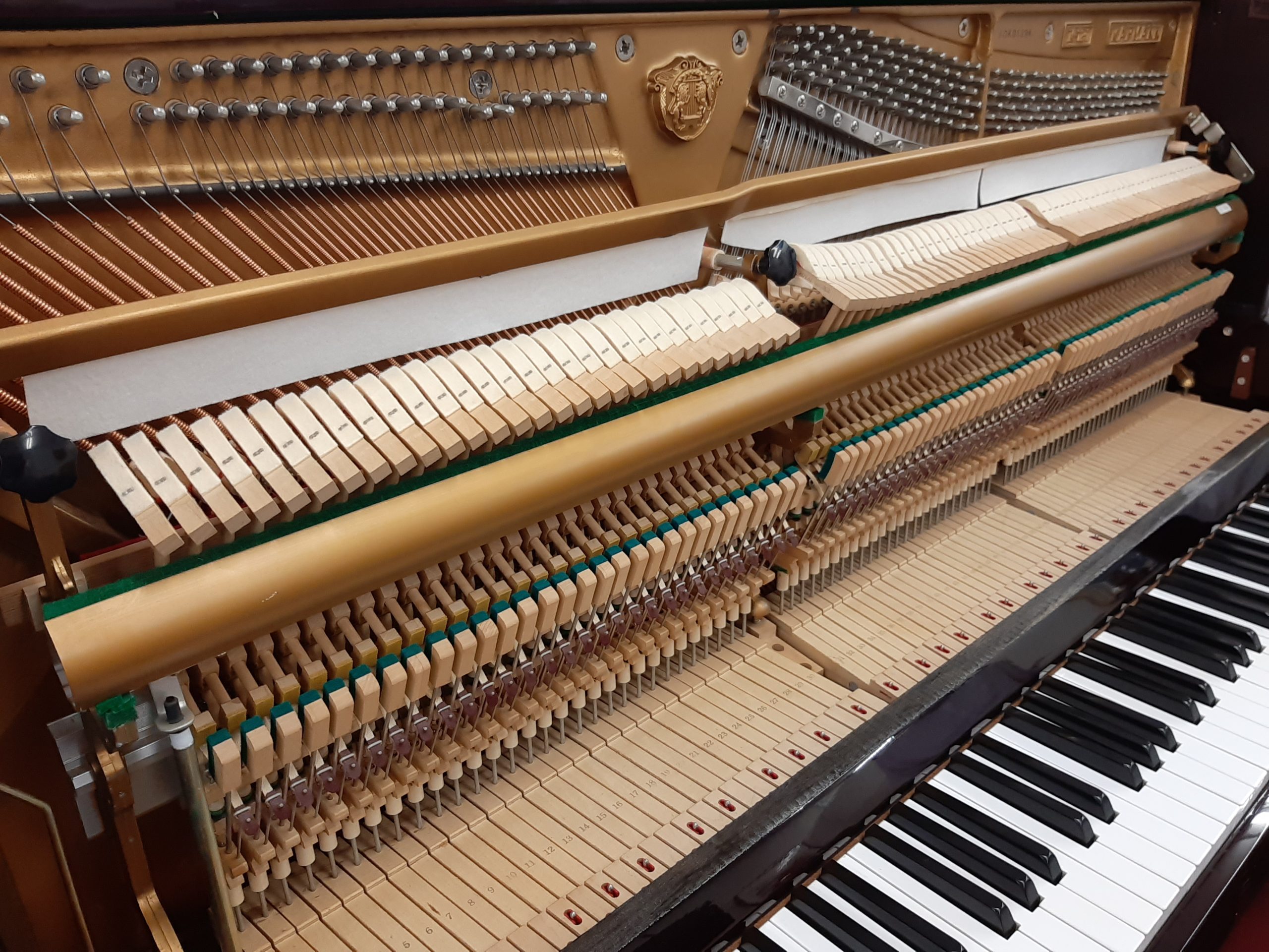   KAFMANN K-121